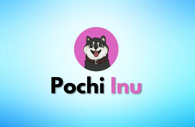 pochi