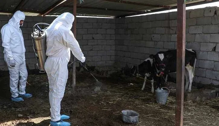 Ölümcül burun kanaması, vakalar arttıkça Irak'ı şok ediyor Ölümcül burun kanaması, vakalar arttıkça Irak'ı şok ediyor