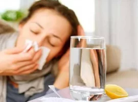 gribe ne iyi gelir