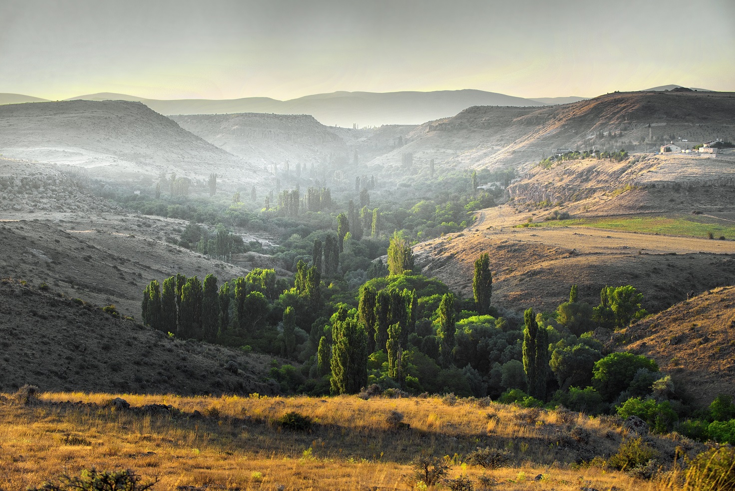 Büyükşehir’den Koramaz Vadisi’nin Doğal Güzelliğini Koruyacak Karar Büyükşehir’den Koramaz Vadisi’nin Doğal Güzelliğini Koruyacak Karar